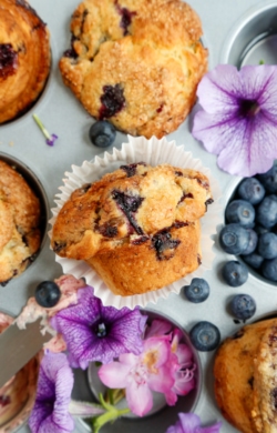 image of freshly baked vegan blueberry muffins